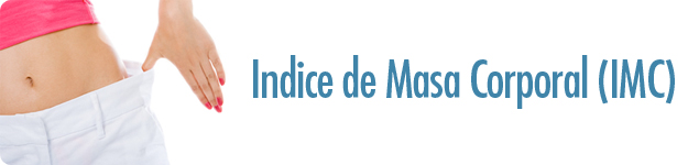 ciclo menstrual lh y fsh